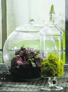 apothecary jar wedding centerpiece terrarium