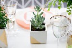 modern geometric vase white gold succulents