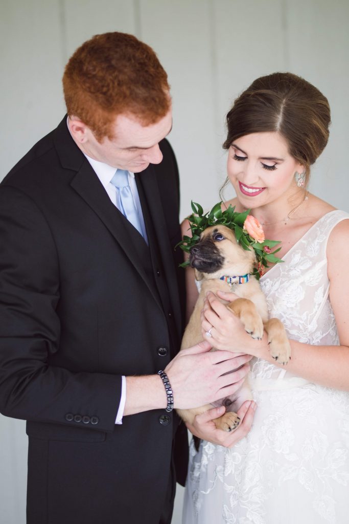 Unleashed Pet Rescue, rescue dog, dog at wedding, puppy at wedding, puppy ring bearer, couple and puppy, rescue puppy