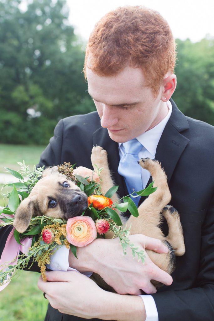 groom and puppy, silly puppy, cute puppy, rescue puppy, unleashed pet rescue, pet rescue, real men have puppies